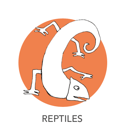 reptiles-drawing