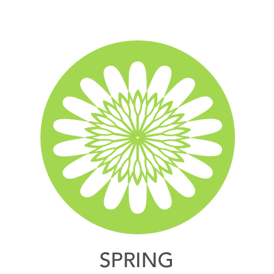 spring-drawing